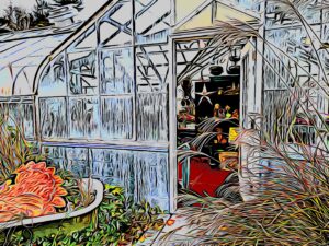 Wheatley Farms Greenhouse! Schedule a visit to browse our locally grown selections!